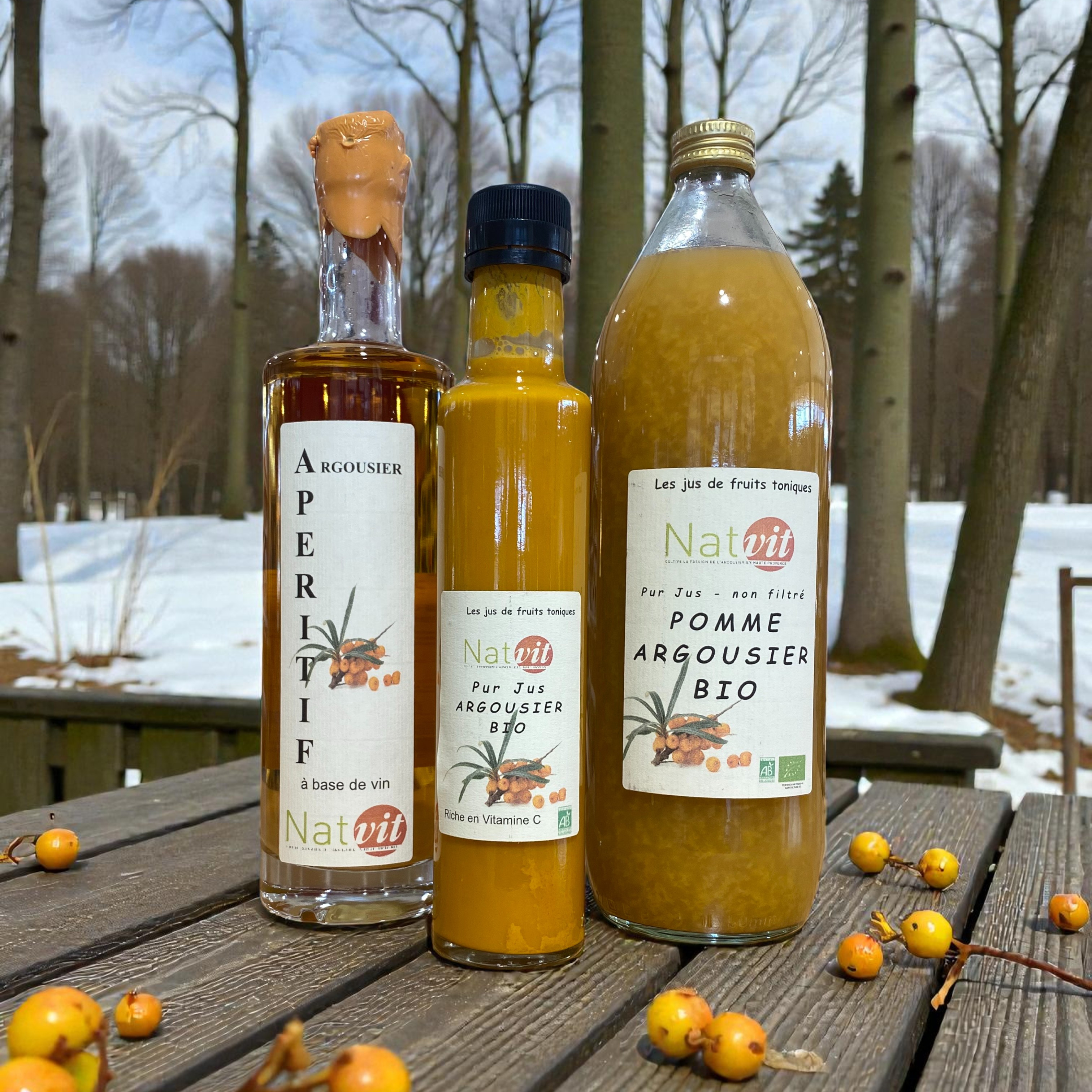 Boissons &agrave; base d'argousier - Baie d'argousier - Energie pour l'hiver